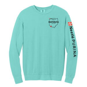Nestle Batavia Comfort Colors Lightweight Crewneck Sweatshirt ChalkyMint